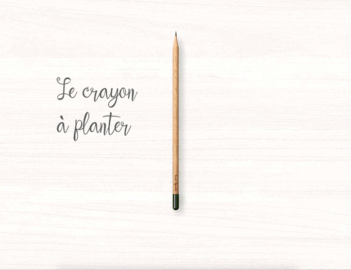 Crayon à planter