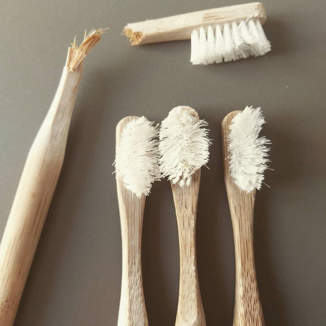 brosses à dents bambou