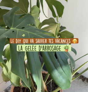 DIY fabrique ta propre gelée d'arrosage en vidéo sur Pinterest