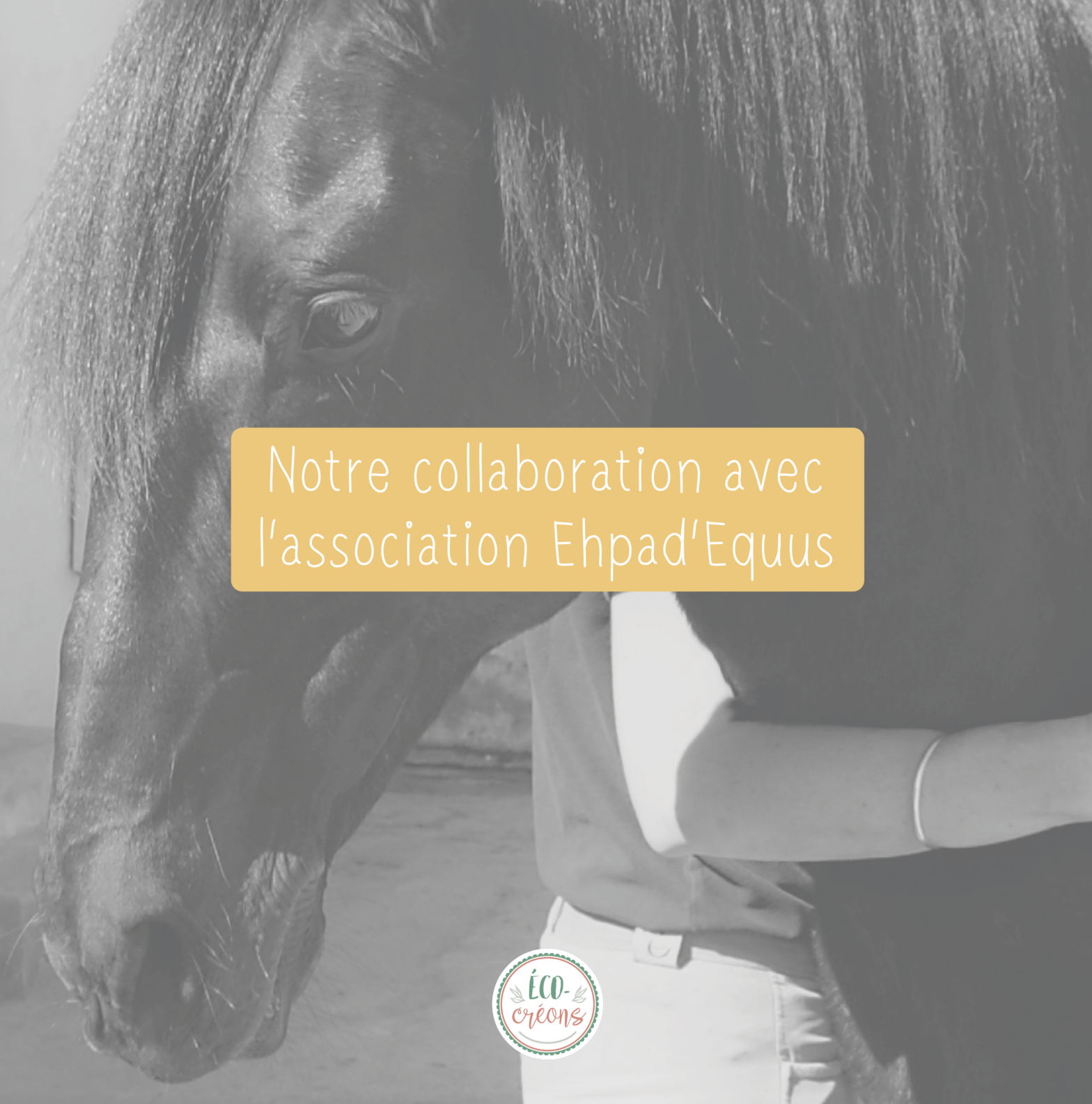 Notre collaboration avec l'association engagée pour la cause animale Ephad'Equus