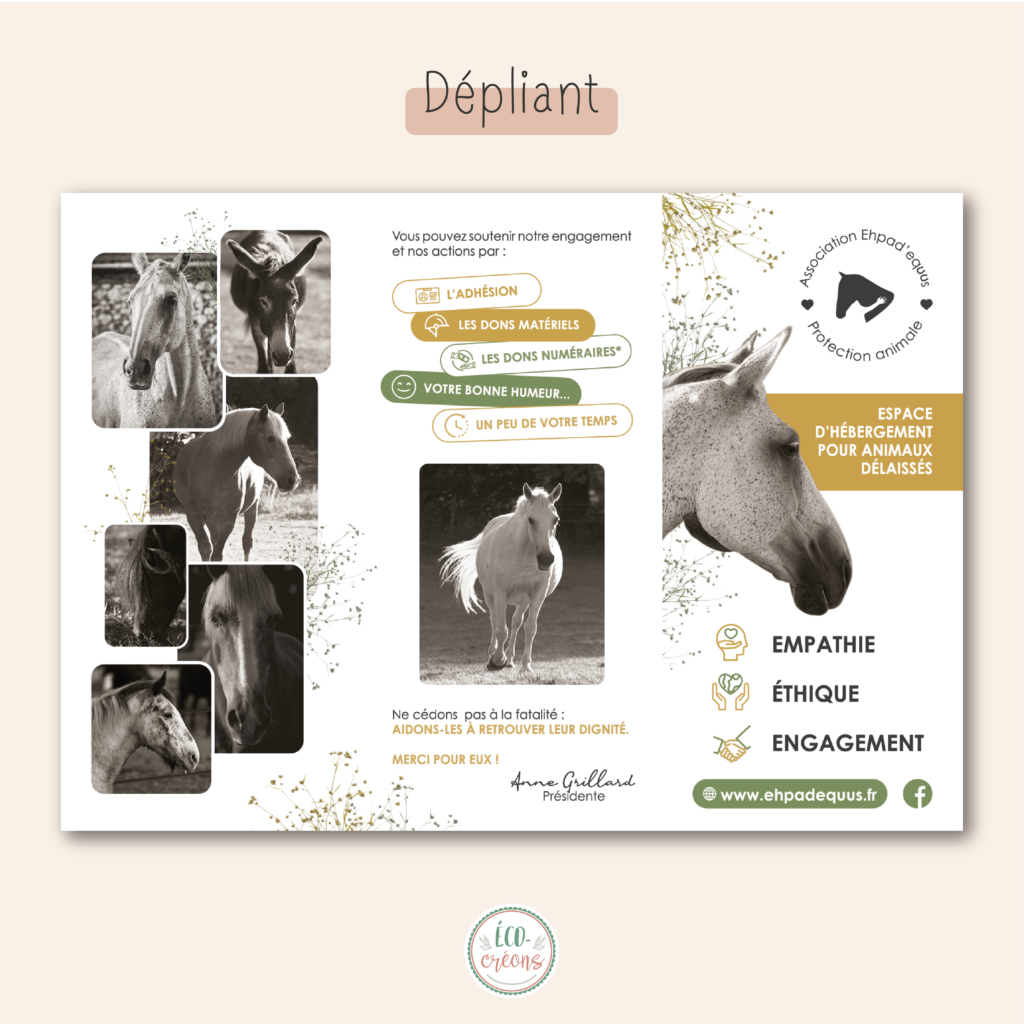 Support de com' : Dépliant pour l'association Ephad Equus